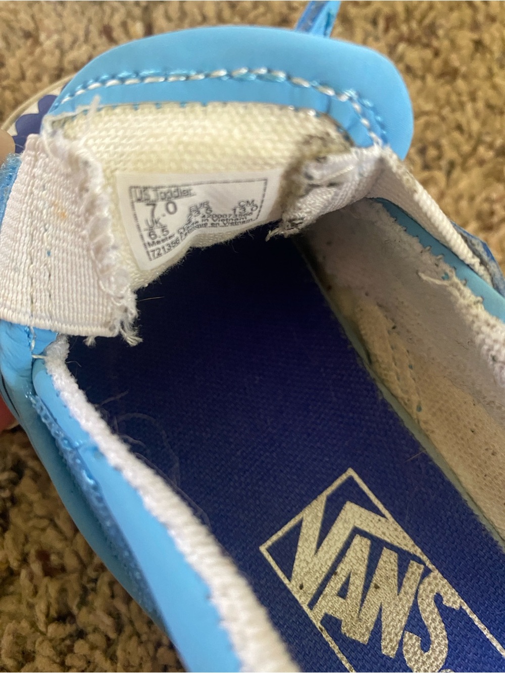 Shark Vans - Picture 5 of 5